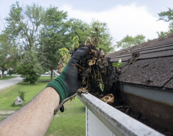 gutter cleaning Service